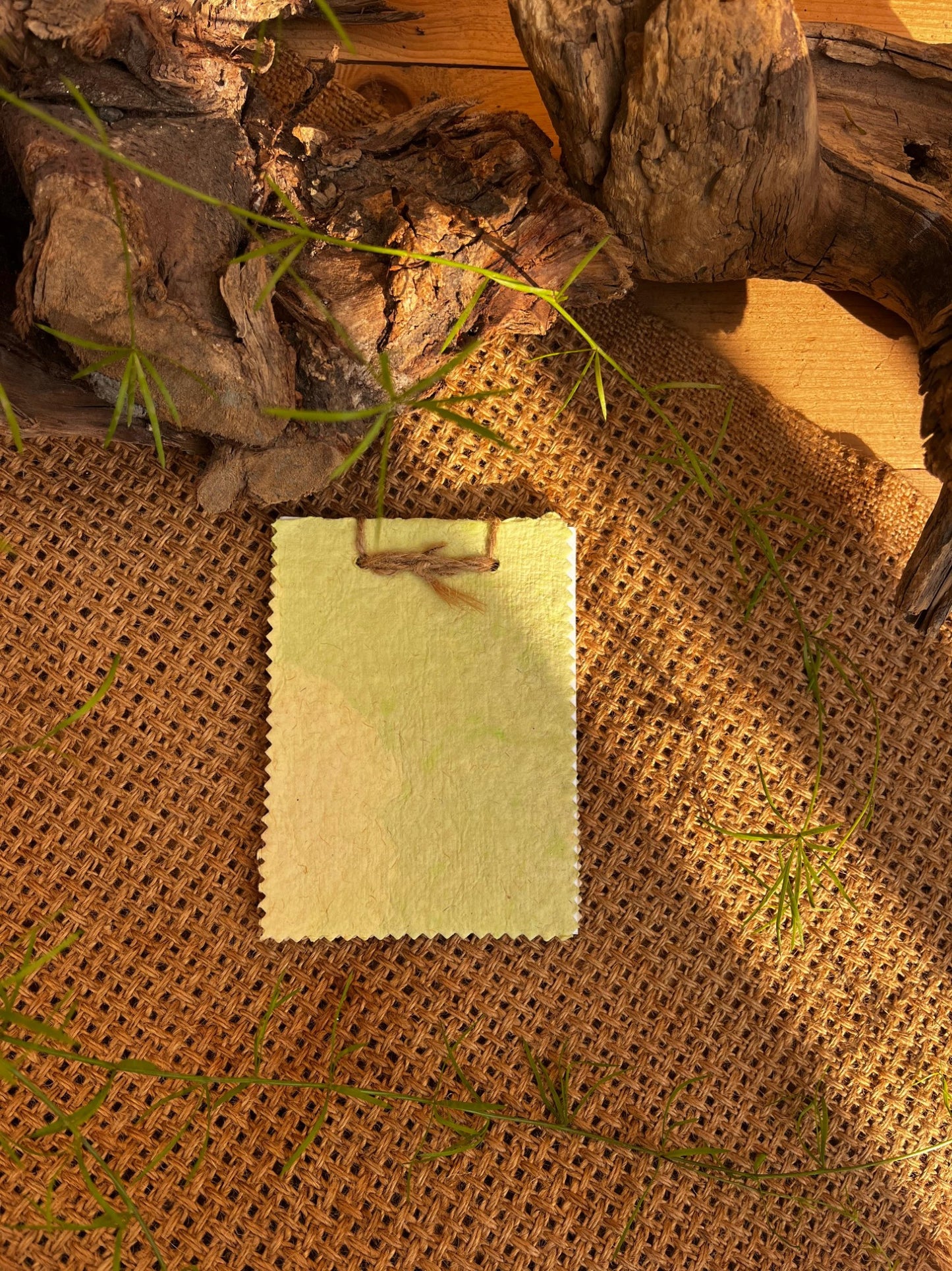 Organic Notepads