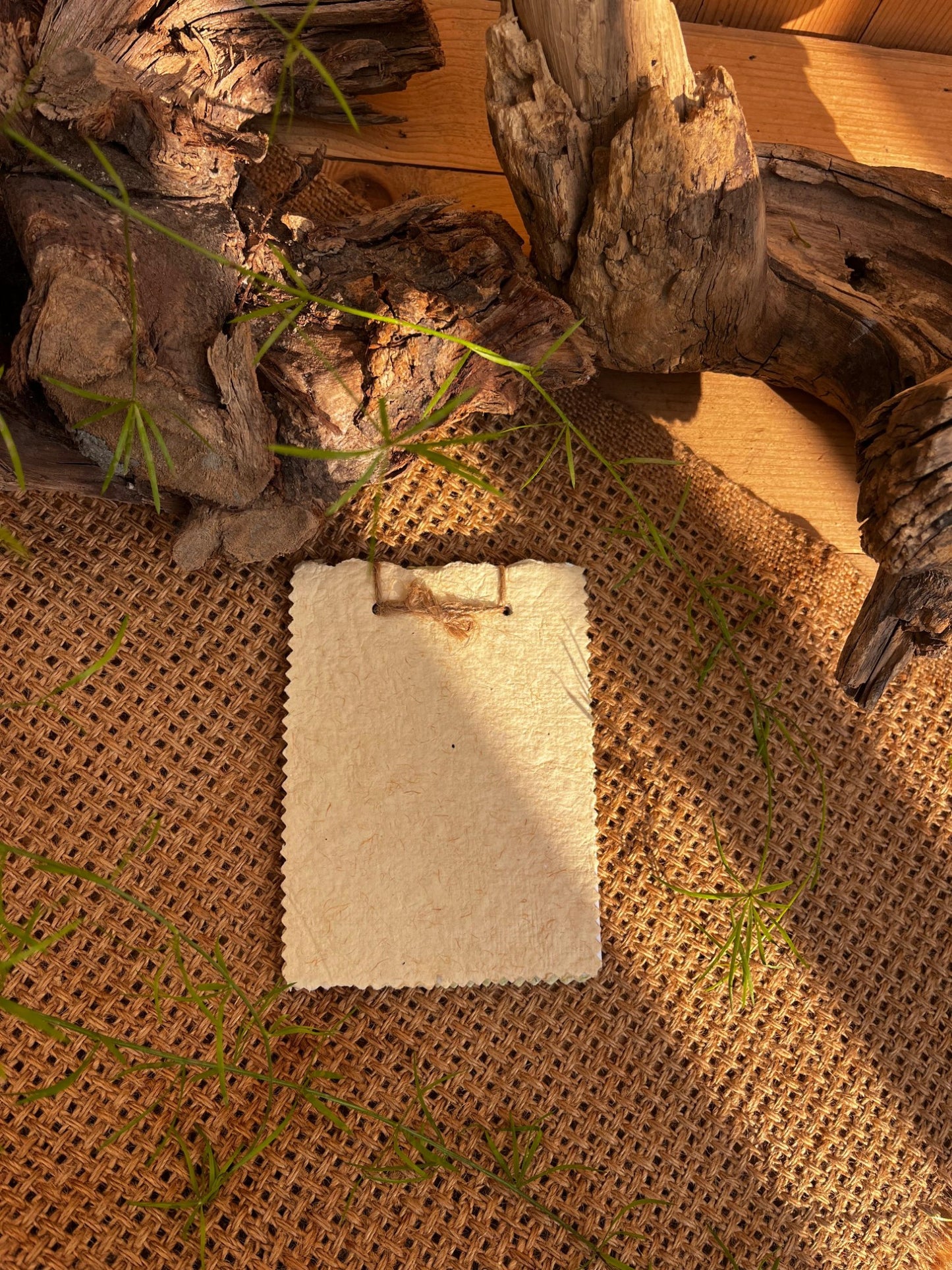 Organic Notepads