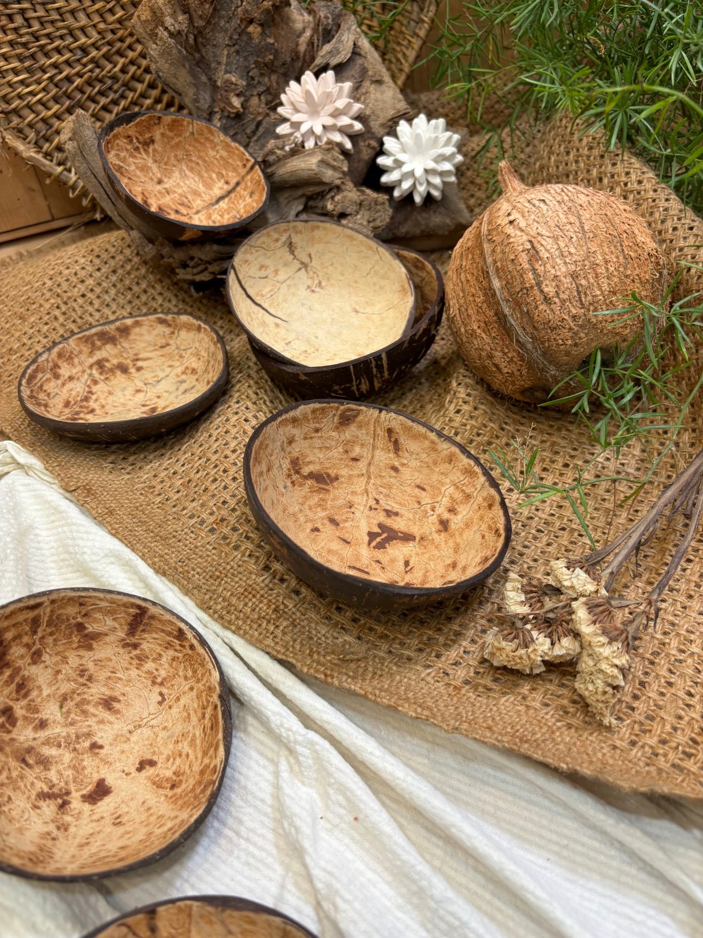 Coconut Bowls ( Set Of 2 )--