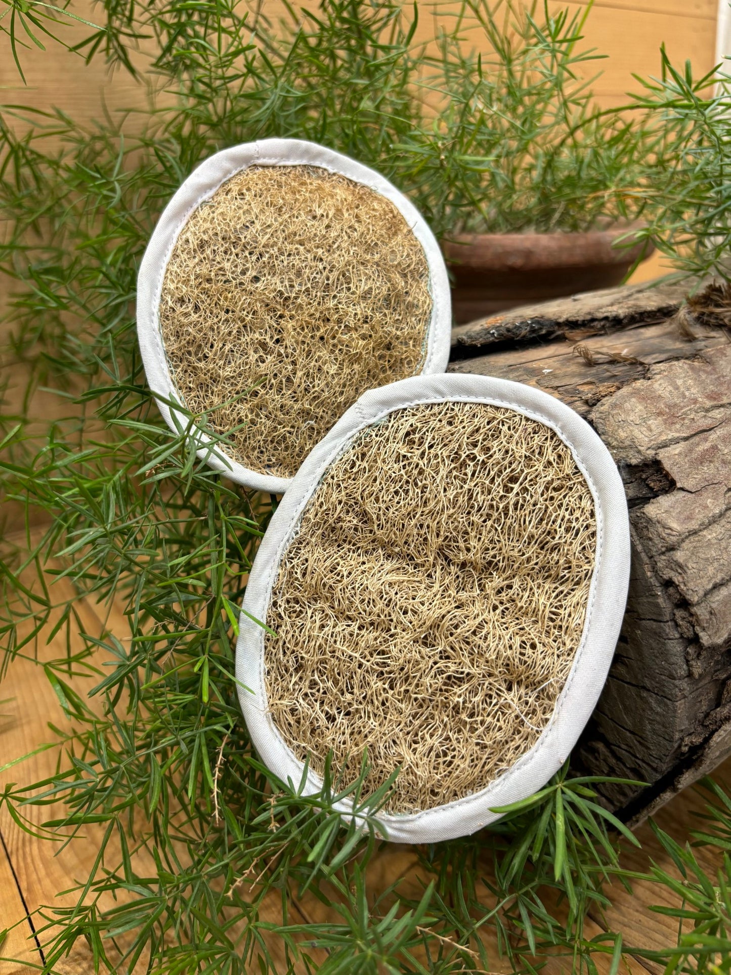 Organic Loofah (Pack Of 2)